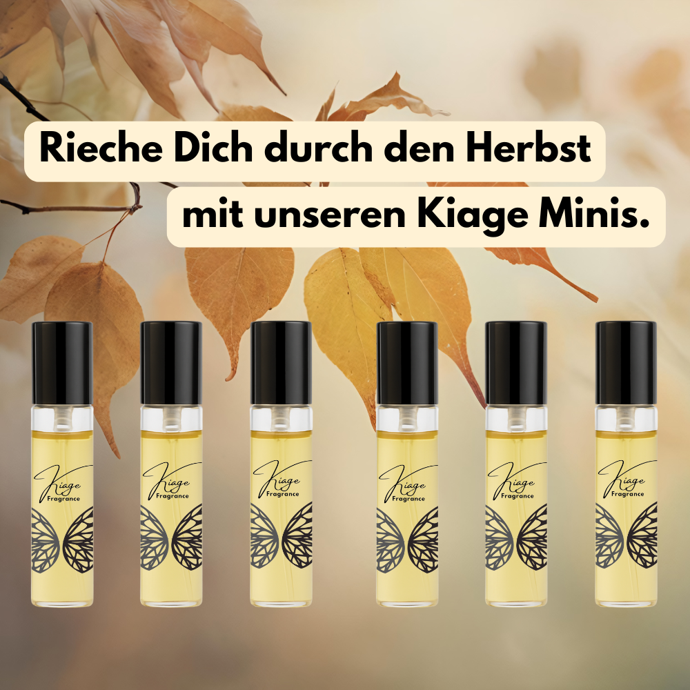 Herbst Tester-Set 6 x 3ml