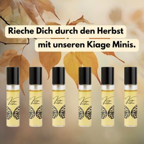 Herbst Tester-Set 6 x 3ml