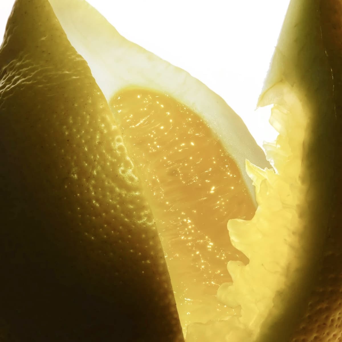 Zitrone – Duftnoten-Detail