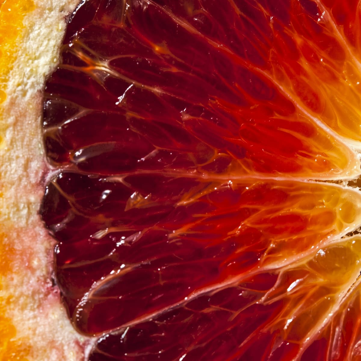 Blutorange – Duftnoten-Detail